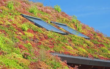 Redburn living roof systems